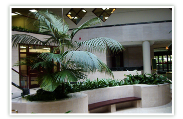 oak brook